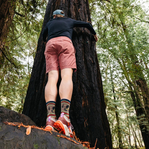 Men's Willoughby Micro Crew Lightweight Hiking Socks